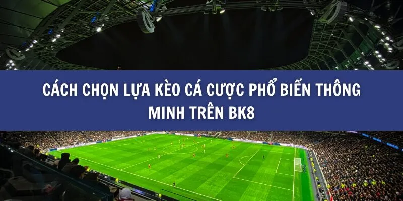 Những Kèo Cá Cược Phổ Biến Trên BK8 Và Cách Chọn Lựa